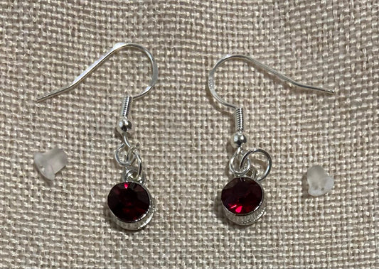 January Birthstone Charm Earrings 925 Sterling Silver Earring Hooks with Clear Silicone Backs