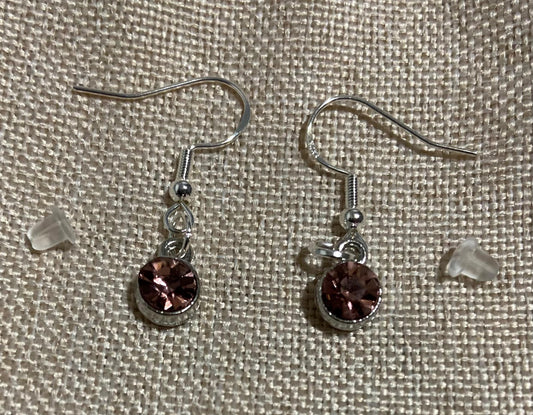 February Birthstone Charm Earrings 925 Sterling Silver Earring Hooks with Clear Silicone Backs